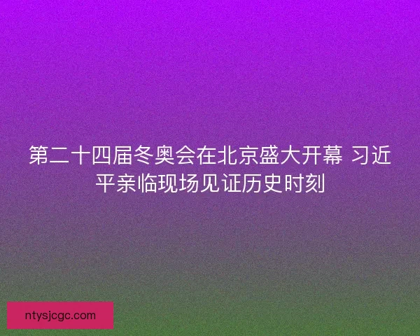 第二十四届冬奥会在北京盛大开幕 习近平亲临现场见证历史时刻