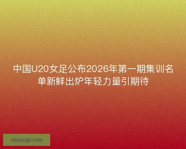 中国U20女足公布2026年第一期集训名单新鲜出炉年轻力量引期待